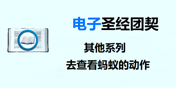 圣经注释