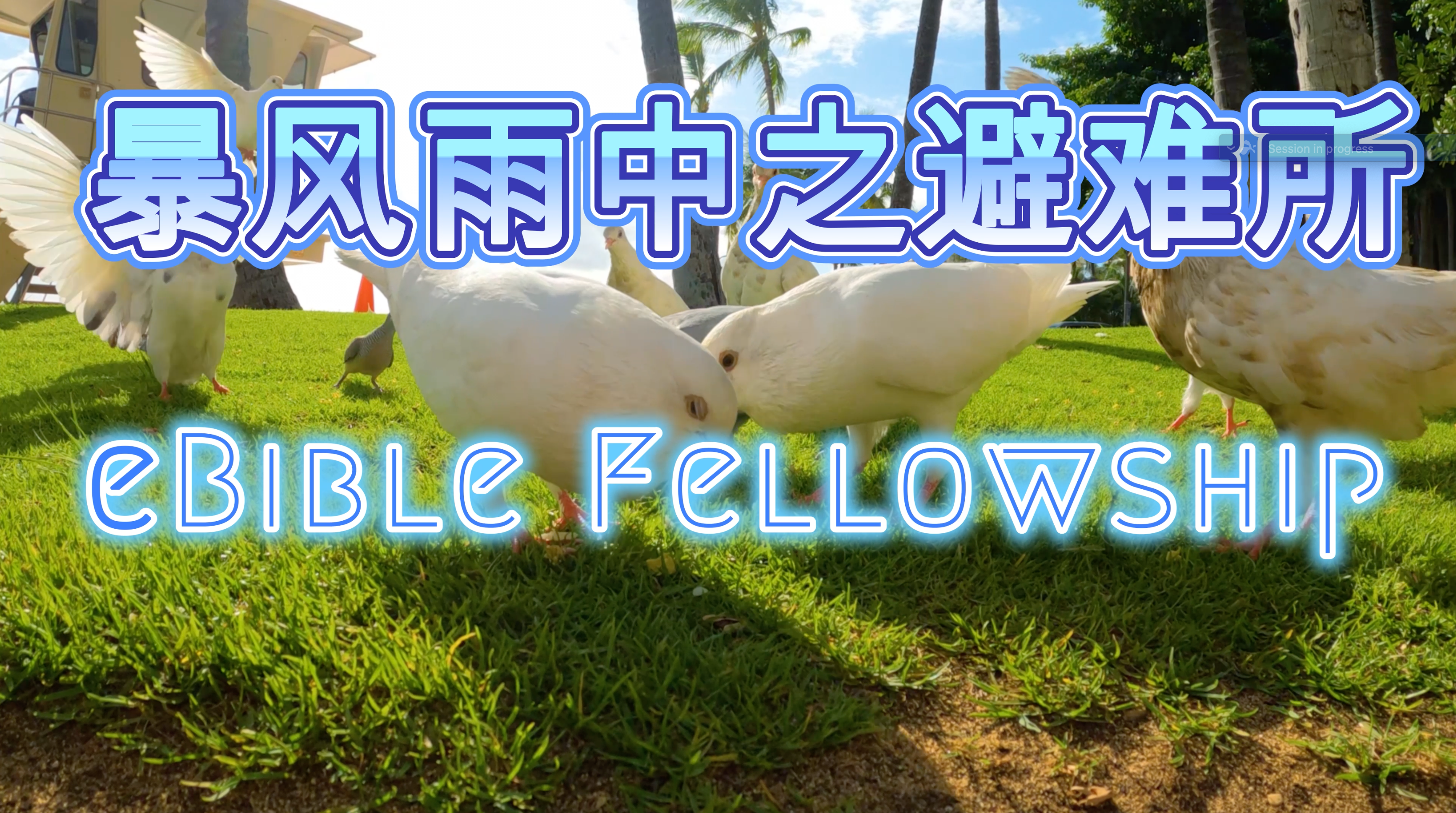视频缩略图
