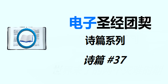 圣经注释